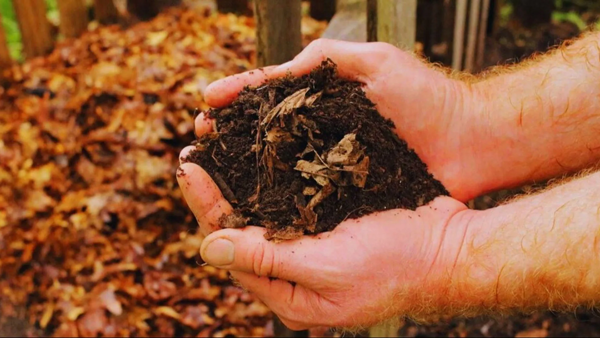 लखीमपुर खीरी: खाद के खेल का भंडाफोड़...हरदोई जिले की उर्वरक खीरी में बेची जा रही थी