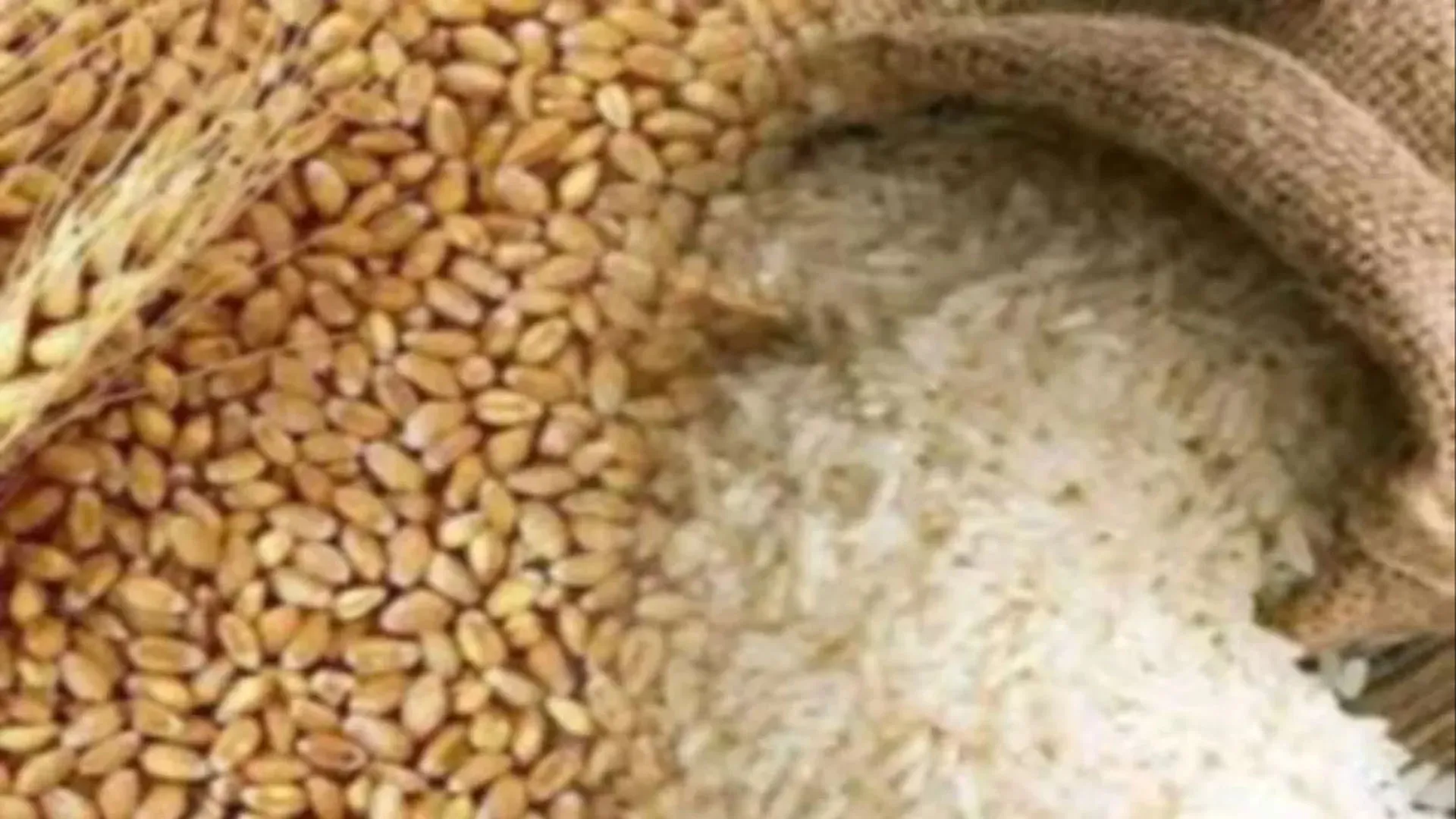 बदायूं: चावल मिले गेहूं कोटेदारों को हुए सप्लाई...ग्रामीणों ने लेने से किया मना