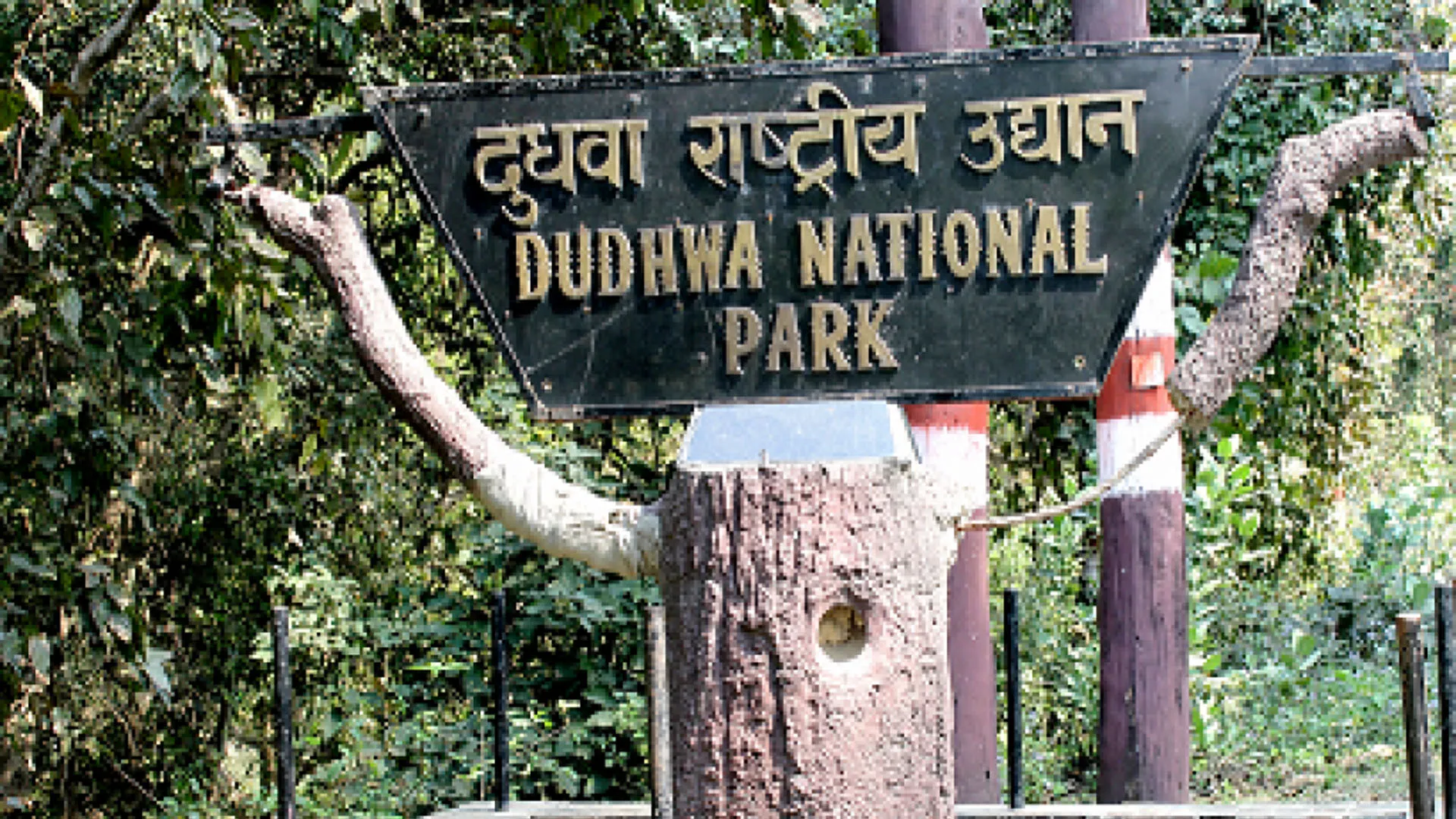 लखीमपुर खीरी: मानव-वन्यजीव संघर्ष रोकने को 46 प्रशिक्षित बाघ मित्र तैनात