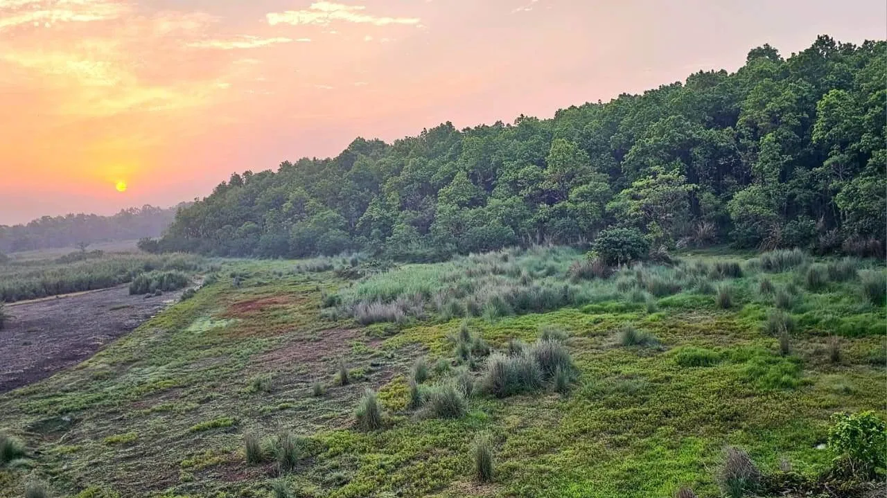 पीलीभीत : पर्यटन सत्र निपटा, अब वन एवं वन्यजीवों की सुरक्षा के होंगे और पुख्ता इंतजाम