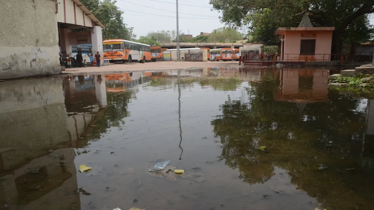 कानपुर : चुन्नीगंज बस अड्डा में सीवरभराव, लाखों मच्छर मुसीबत