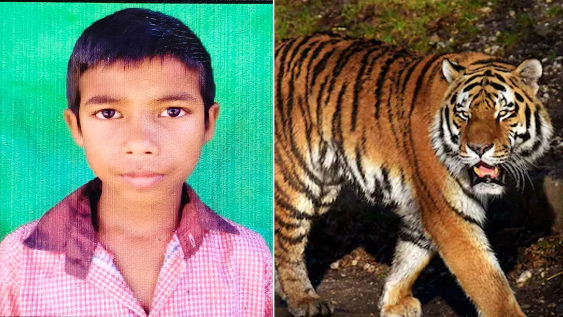 लखीमपुर खीरी: बाघ के हमले से घायल किशोर की मौत के बाद ग्रामीणों में आक्रोश