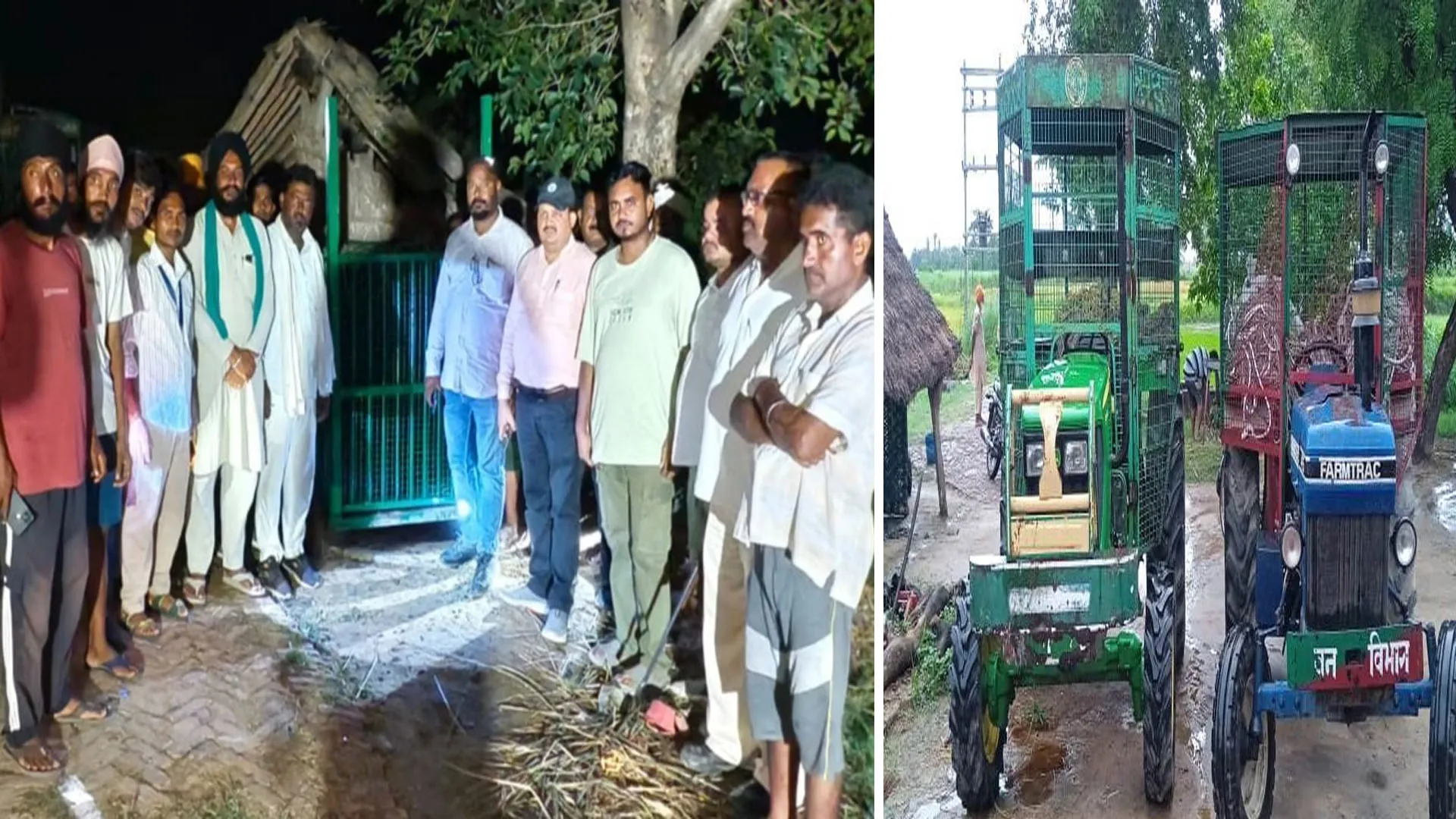 लखीमपुर खीरी: बाघिन को पकड़ने की कवायद तेज...मगर बारिश ने डाला खलल