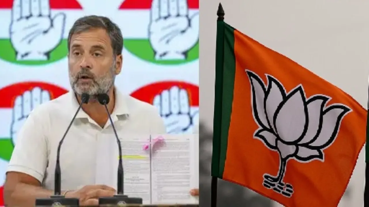 'मैच फिक्सिंग' टिप्पणी पर भाजपा का पलटवार, कहा- जनता का समर्थन हासिल नहीं कर सकते राहुल 