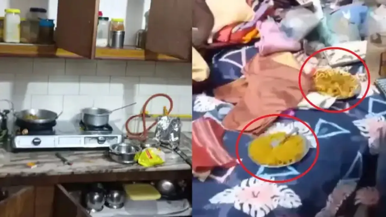 मैगी पार्टी