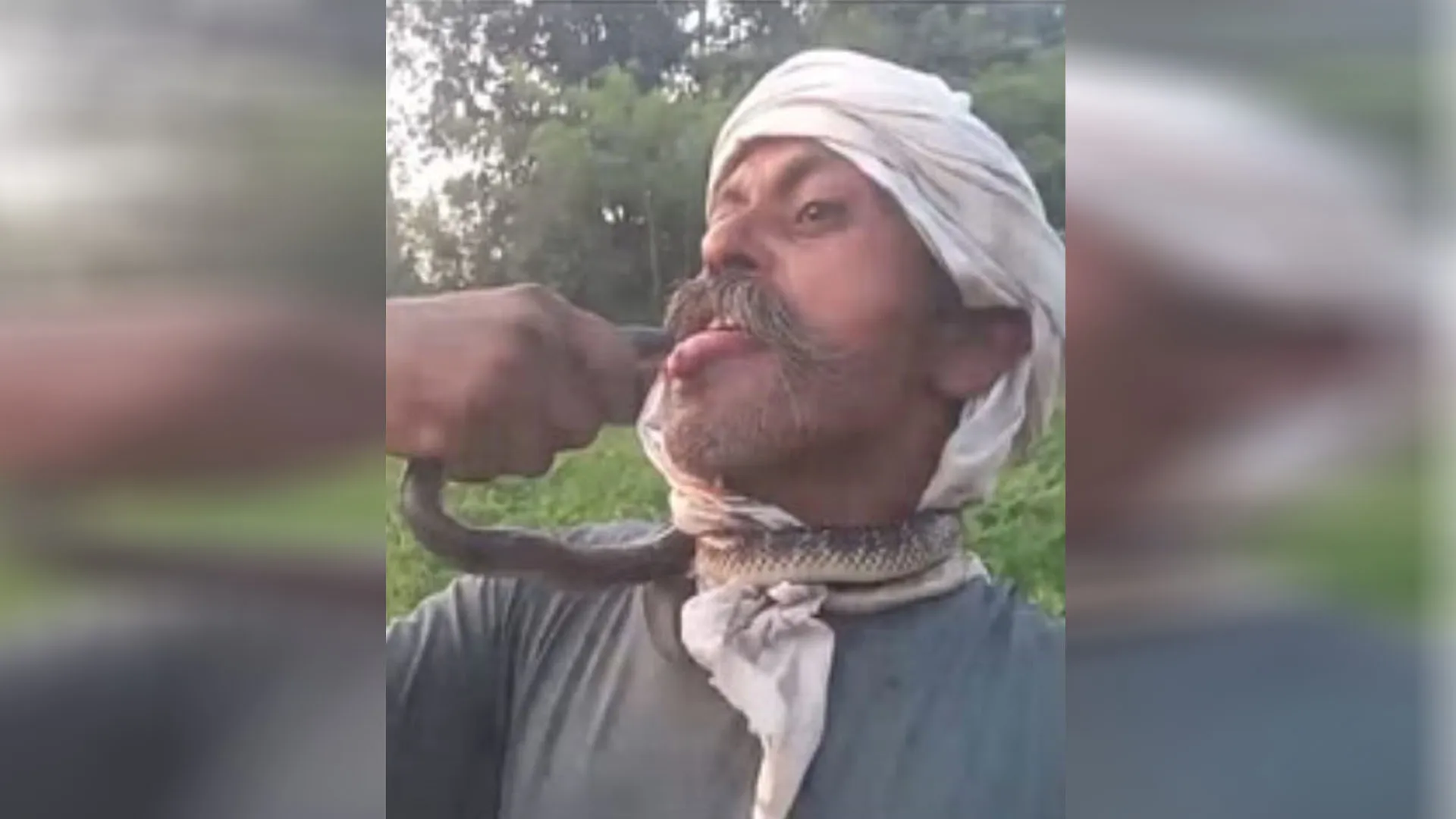 अमरोहा: सांप के साथ बन रहा था खतरों का खिलाड़ी...जुबान पर डसा तो जाना पड़ा अस्पताल