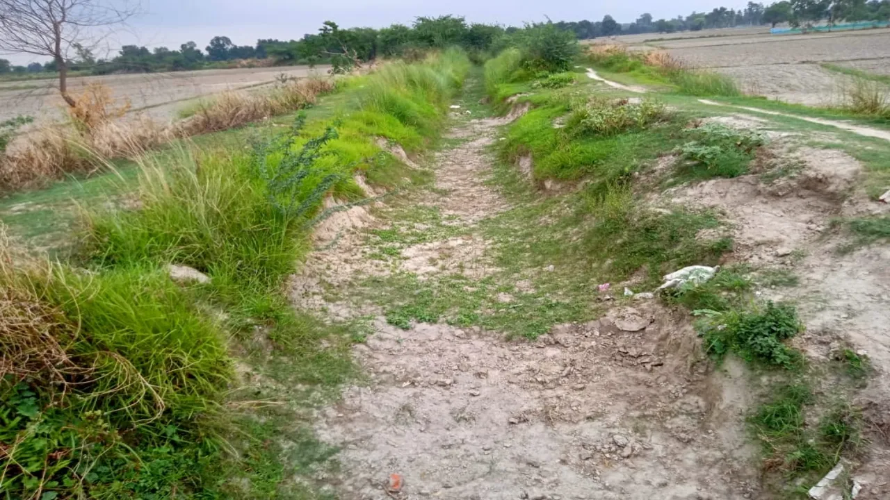 बाराबंकी : नहर में छोड़ा जा रहा क्षमता से कम पानी, संकट में धान रोपाई