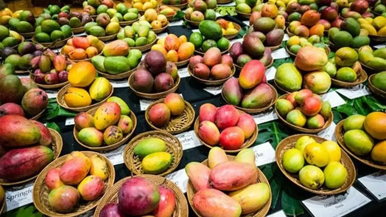 अवध शिल्पग्राम में 4 से लगेगा तीन दिवसीय आम महोत्सव, उद्यान राज्यमंत्री ने लिया तैयारी का जायजा, दिए निर्देश