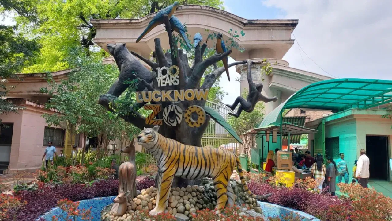 Lucknow News: दो साल बाद चिड़ियाघर में नजर आएंगे इजराइली जेब्रा, लंबे समय से खाली पड़ा था बाड़ा