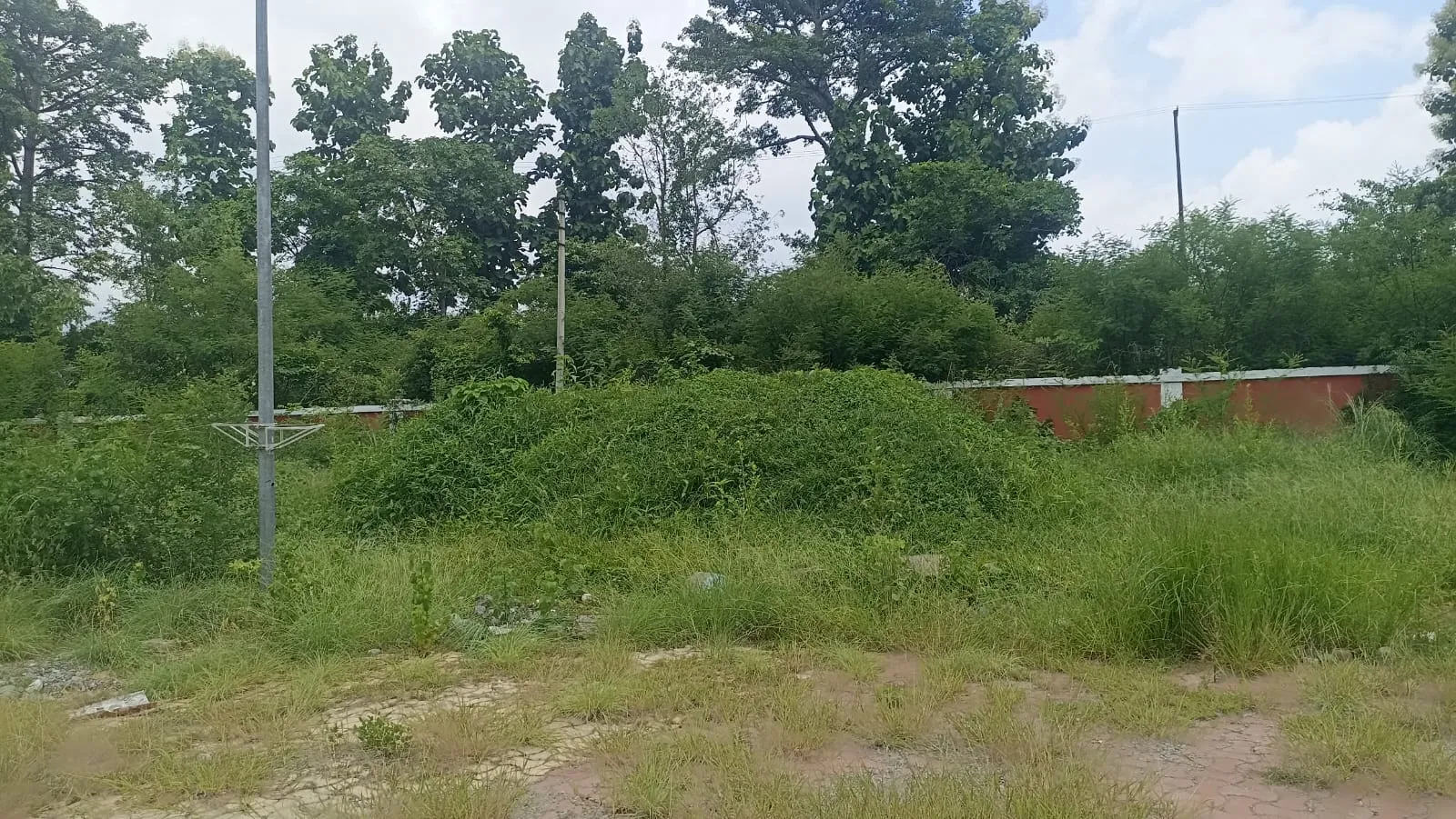 गौलापार स्टेडियम में क्रिकेट पिच के लिए लाई गई 90 लाख की मिट्टी पर उगी घास