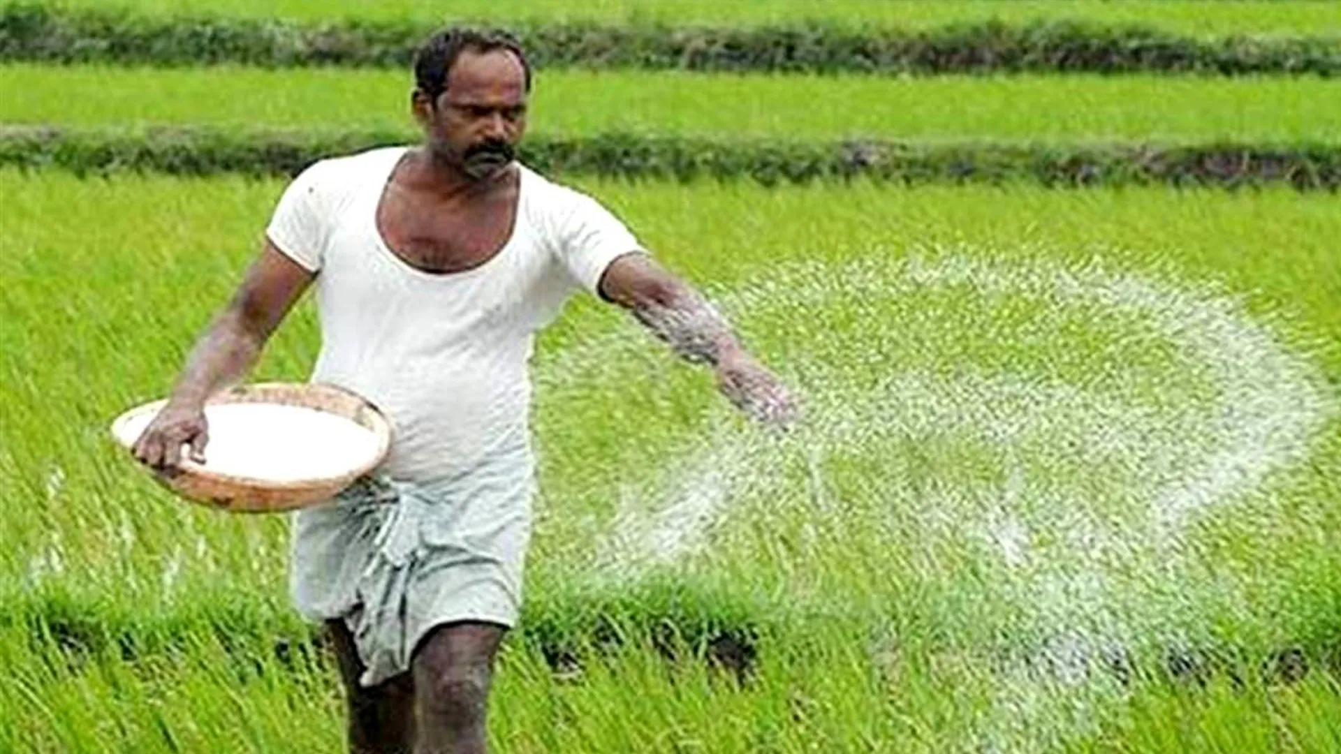 शाहजहांपुर : यूरिया लेने के लिए दर-दर भटक रहे किसान