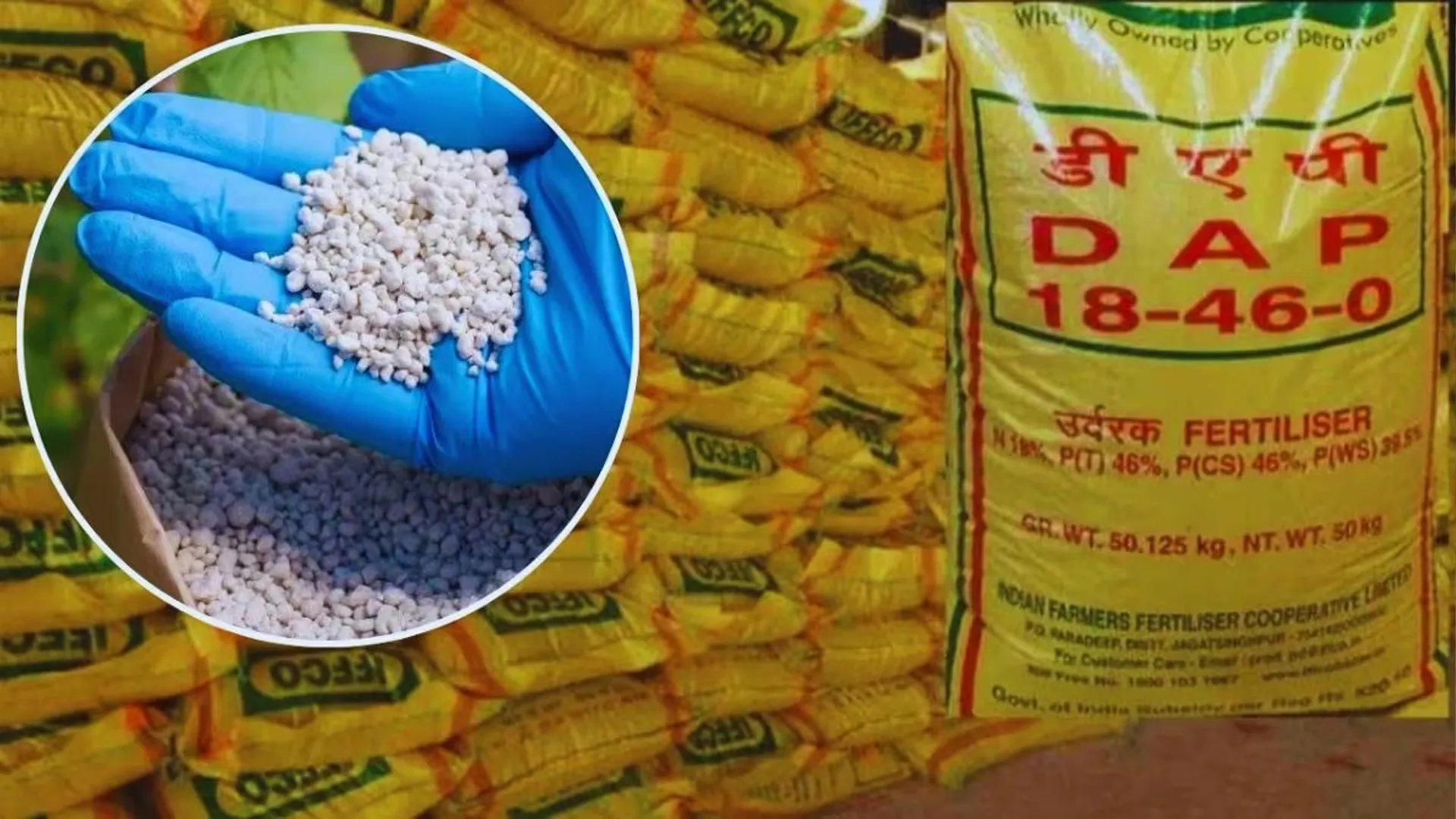 पीलीभीत: थोक विक्रेताओं ने बढ़ाए खाद के दाम और खुलती चली गईं कालाबाजारी की दुकान...शिकायत के साथ सौंपी गई ऑडियो