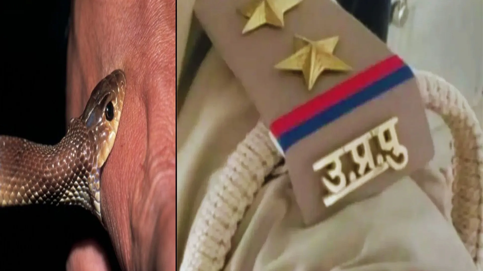 बदायूं : एनकाउंटर में नहीं तुझे सांप से डसवाकर मरवा दूंगा-बदायूं पुलिस पर गंभीर आरोप लगाते हुए कोर्ट पहुंचा युवक 