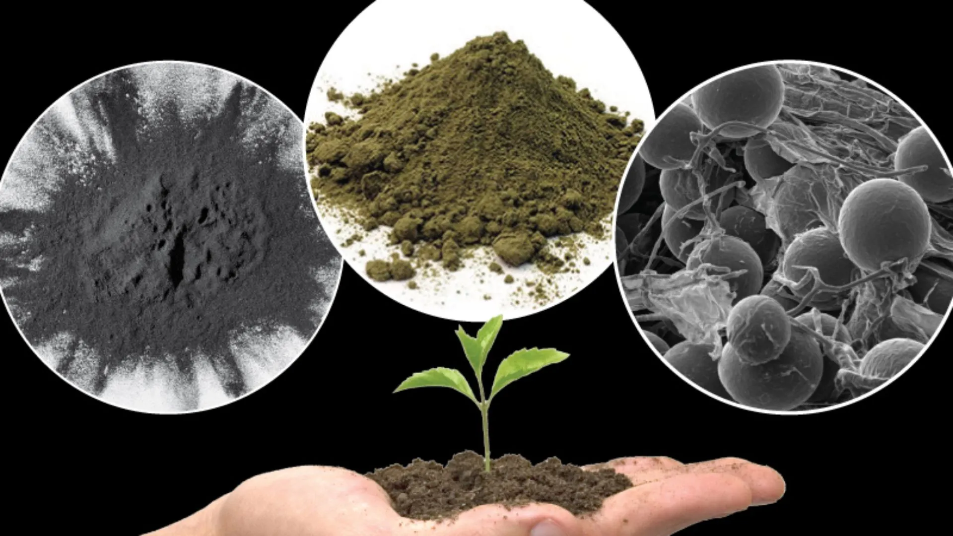 अब लाइसेंस पर बिकेगा जैव उत्प्रेरक, नमूने लेकर किया जाएगा परीक्षण और कार्रवाई