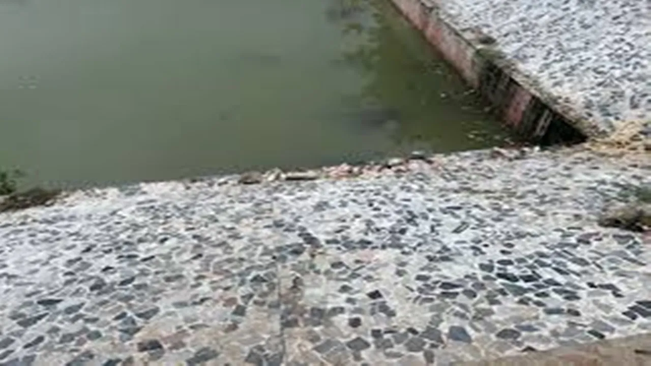 लखनऊ: बुद्धेश्वर मंदिर के सीता सरोवर में डाला जहर, कई क्विंटल मछलियां मरी, लोगों ने किया हंगामा