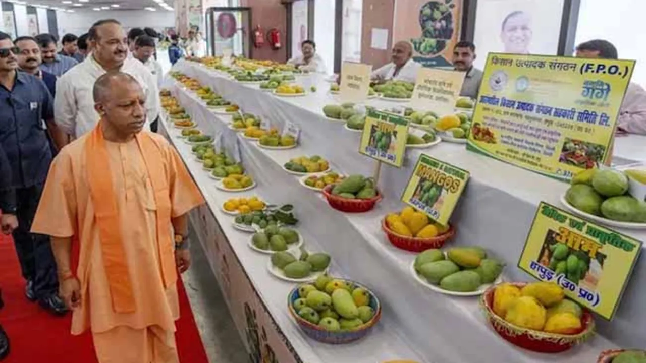 UP Mango Festival 2025: CM योगी ने आम महोत्सव का किया शुभारंभ, कंटेंनरों को दिखाई हरी झंडी