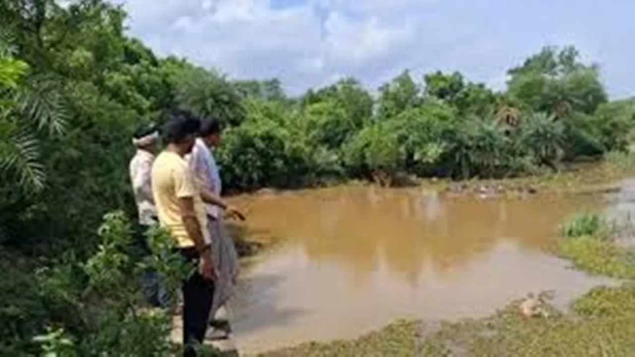 Jhansi News: झांसी में लगातार हो रही बारिश से गांव बना टापू, फंसे ग्रामीण