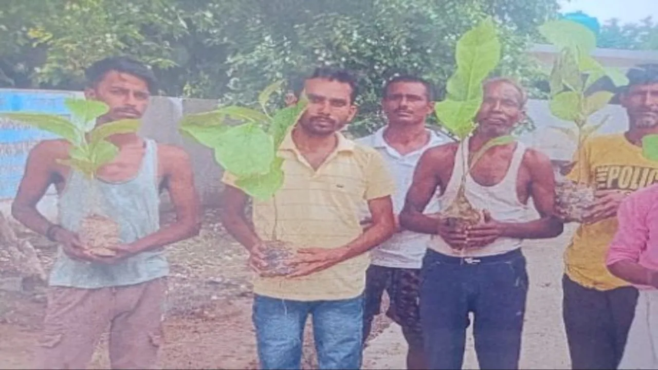 बाराबंकी: 6 दिन, 91 श्रमिक, 23 हजार खर्च, लेकिन पौधे नदारद, मनरेगा में फर्जीवाड़े की जड़ें गहरी