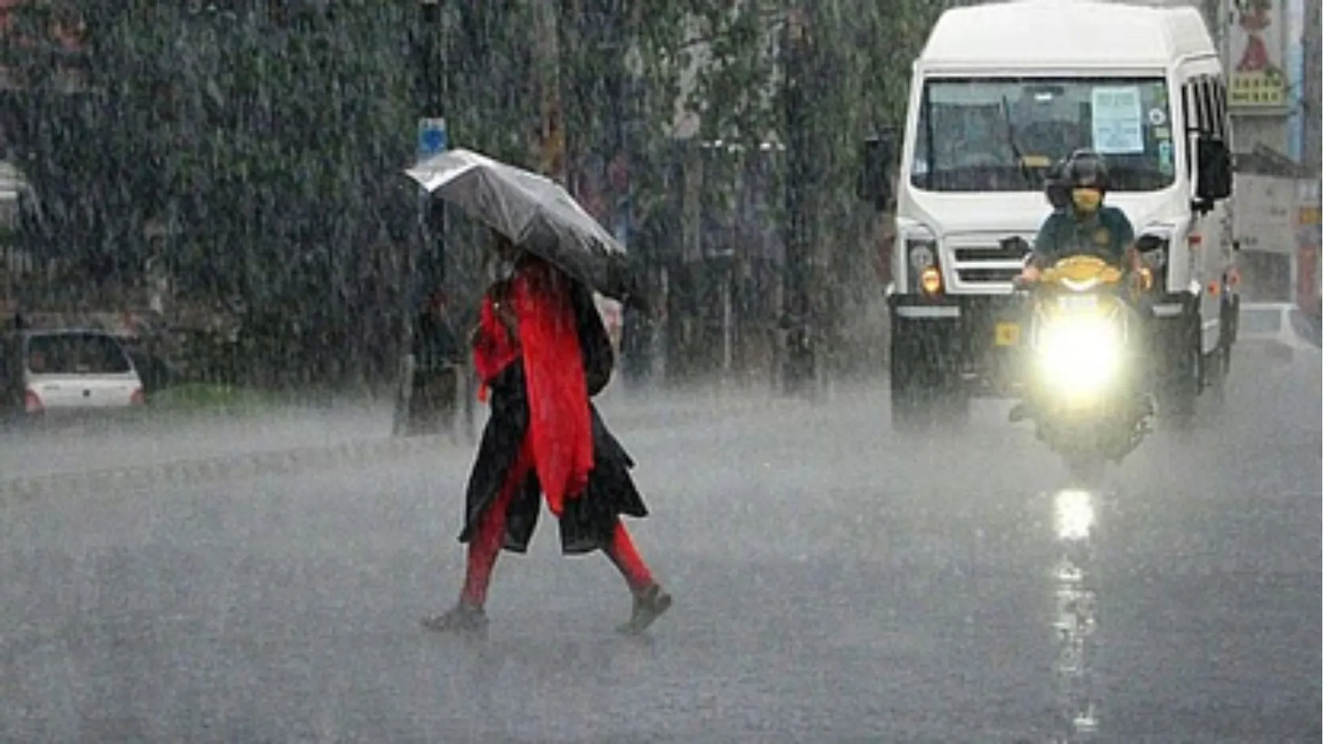 कुछ दिनों का कारोबार मगर जोरदार, बारिश के आते ही बाजार में बढ़ी बरसाती, पॉलीथिन की मांग 