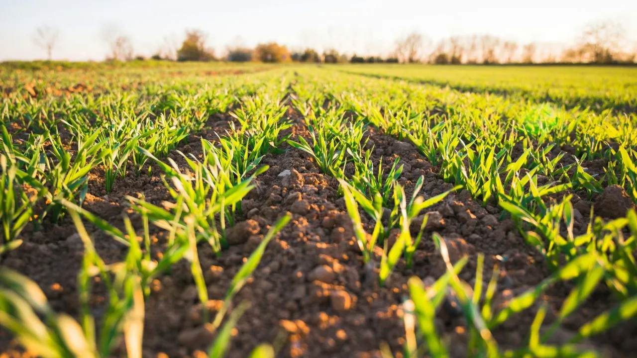 यूपी में प्राकृतिक खेती के लिए सरकार का खुला खजाना, सरकार के प्रस्ताव पर राज्यपाल ने 71.02 करोड़ की दी मंजूरी