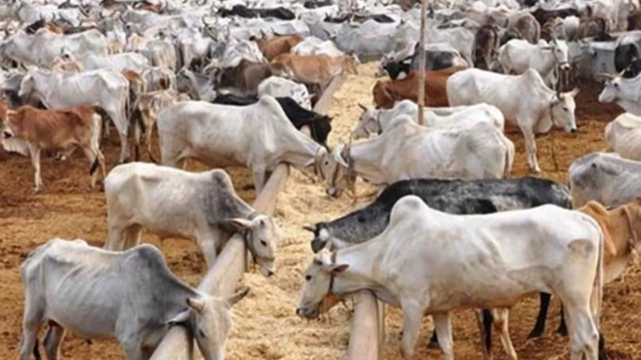 उत्तर प्रदेश में 16 नवनिर्मित गो संरक्षण केंद्रों की शुरुआत, बोले धर्मपाल सिंह- निर्माण में गुणवत्ता से न हो कोई समझौता