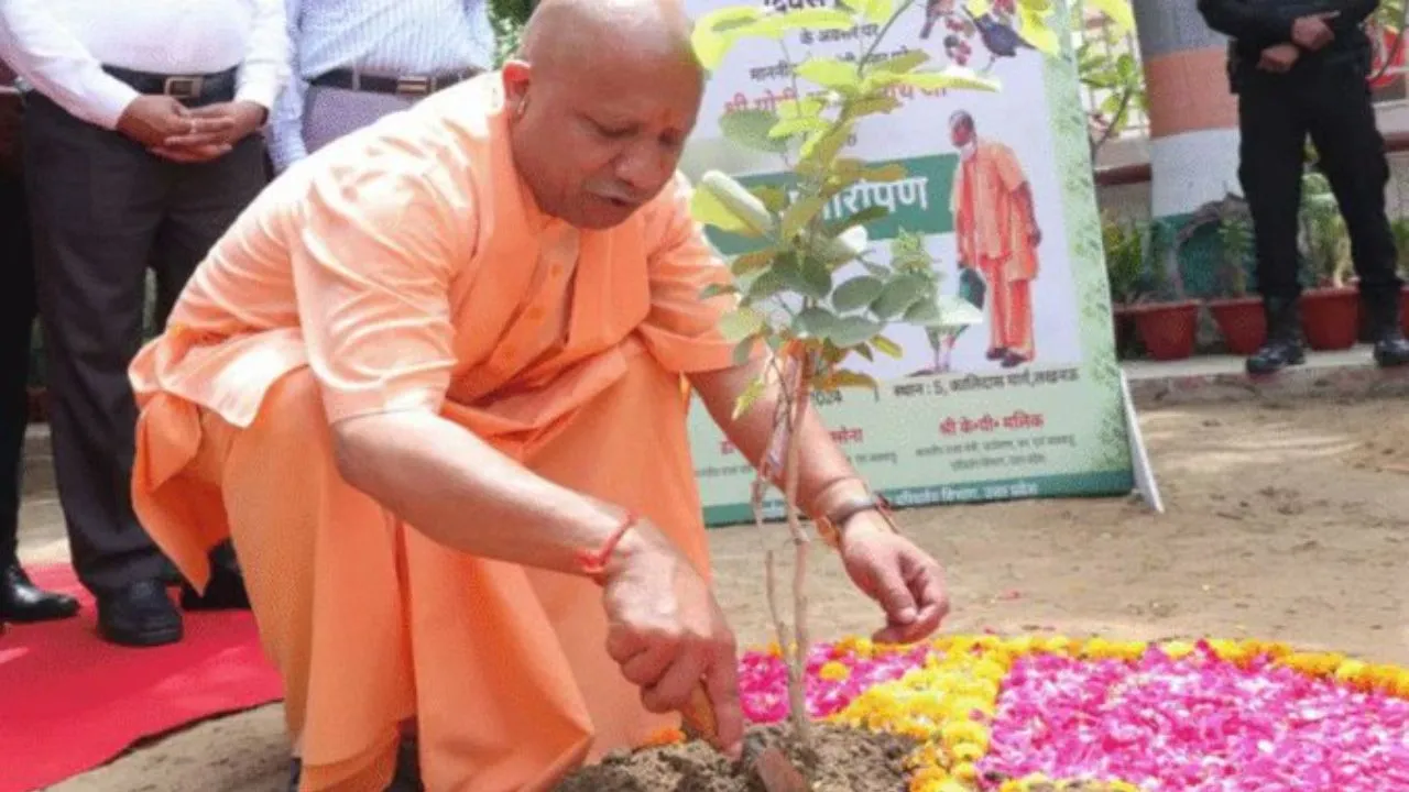 यूपी ने आज बनाया महारिकॉर्ड, 37 करोड़ पौधे लगाने के अभियान में जुटी पूरी योगी सरकार, बोले सीएम- पौधे नहीं हम भविष्य रोपेंगे...
