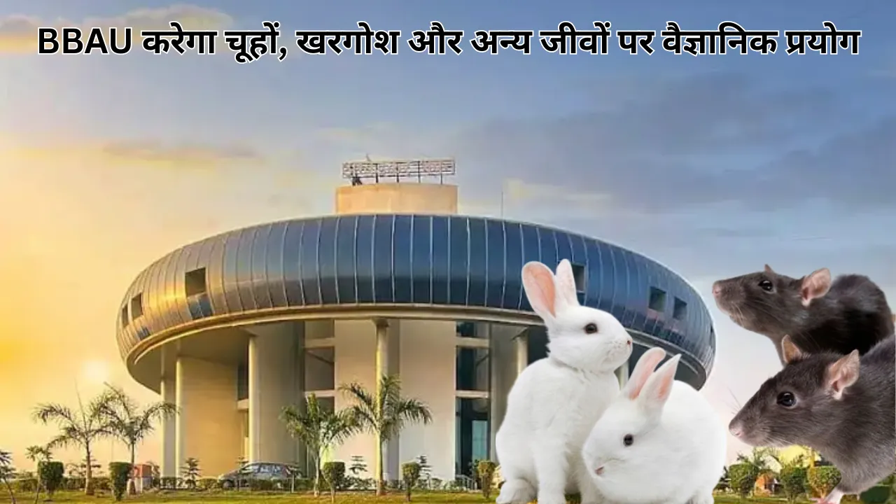 BBAU करेगा चूहों, खरगोश और अन्य जीवों पर करेगा वैज्ञानिक प्रयोग, फार्मास्युटिकल रिसर्च के लिए मिली राष्ट्रीय मान्यता 