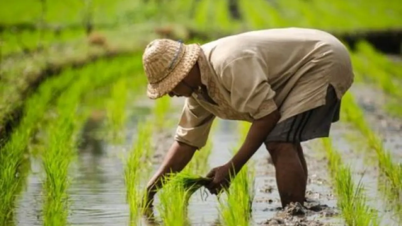 ''तकनीकी'' कमी में फंसी 52 परियोजनाएं,  पूरा नहीं हुआ डब्ल्यूडीसी- पीएमकेएसवाई 2.0 योजना