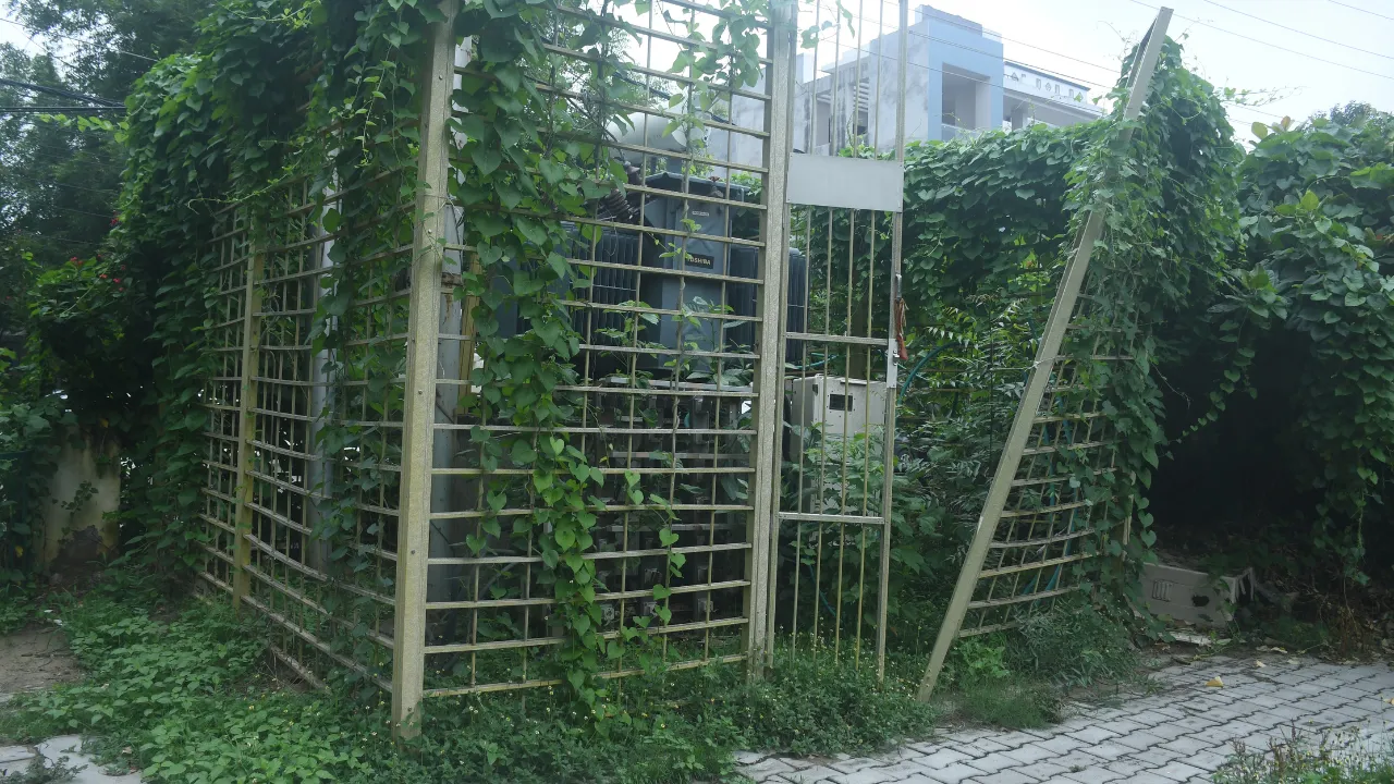 पार्कों में कहीं 20 तो कहीं एक भी कर्मचारी नहीं, नगर निगम के अधिकांश पार्क बदहाल