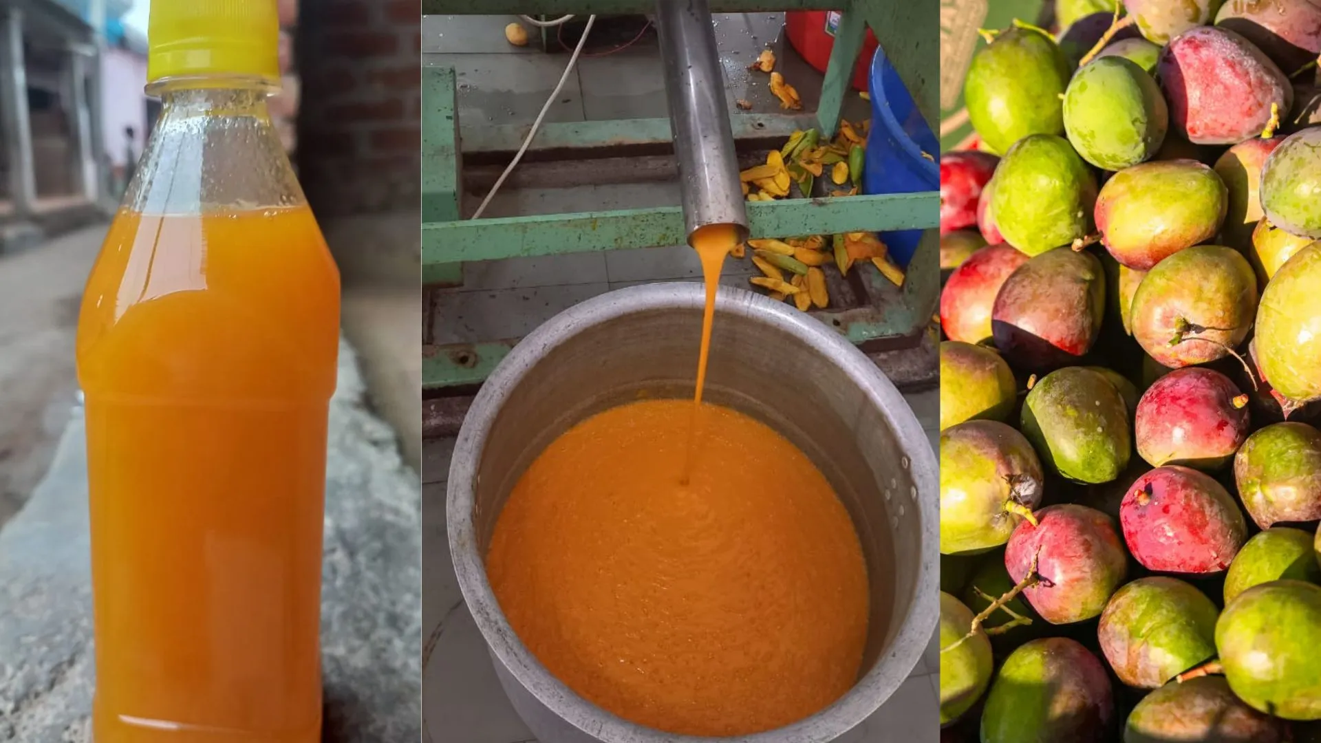 स्क्वैश, पेय पदार्थ और पापड़! छोटा और रिजेक्ट आम 12 महीने दिलाएगा मुनाफा