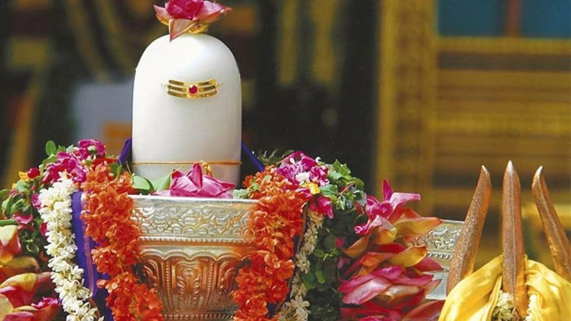 सावन के हर दिन शिवालयों में उमड़ रही भक्तों की भीड़, सोमवार ही नहीं; अन्य दिनों में भी शिवभक्तों में उत्साह