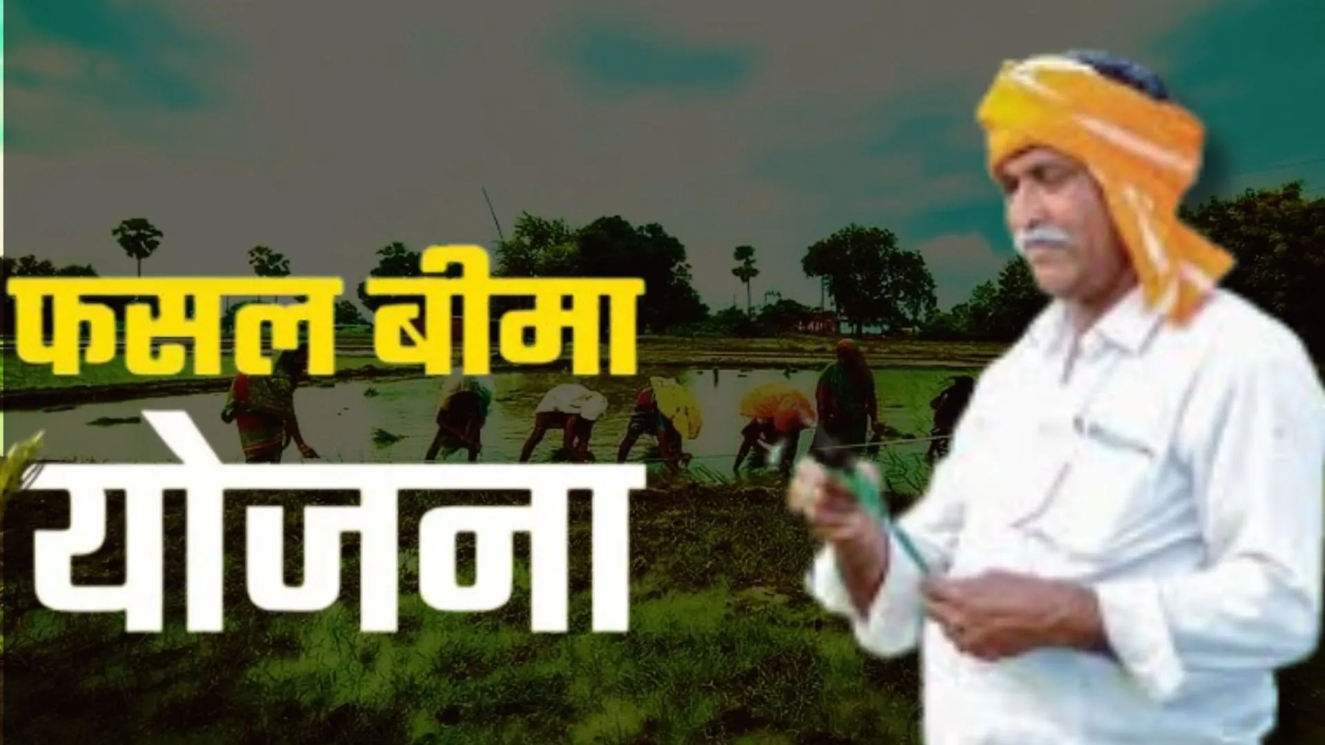 अब 31 जुलाई तक किसान करा सकेंगे फसलों का बीमा: ये दस्तावेज होंगे जरुरी, जानिए पूरी प्रक्रिया 