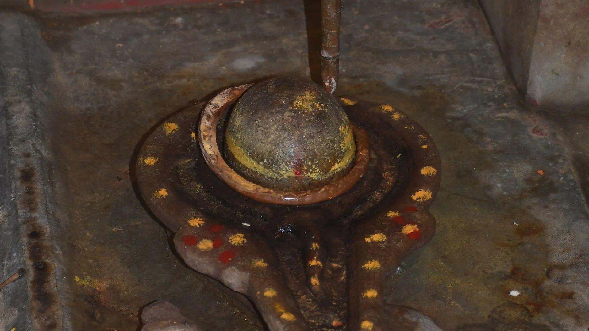 Untitled design (11)