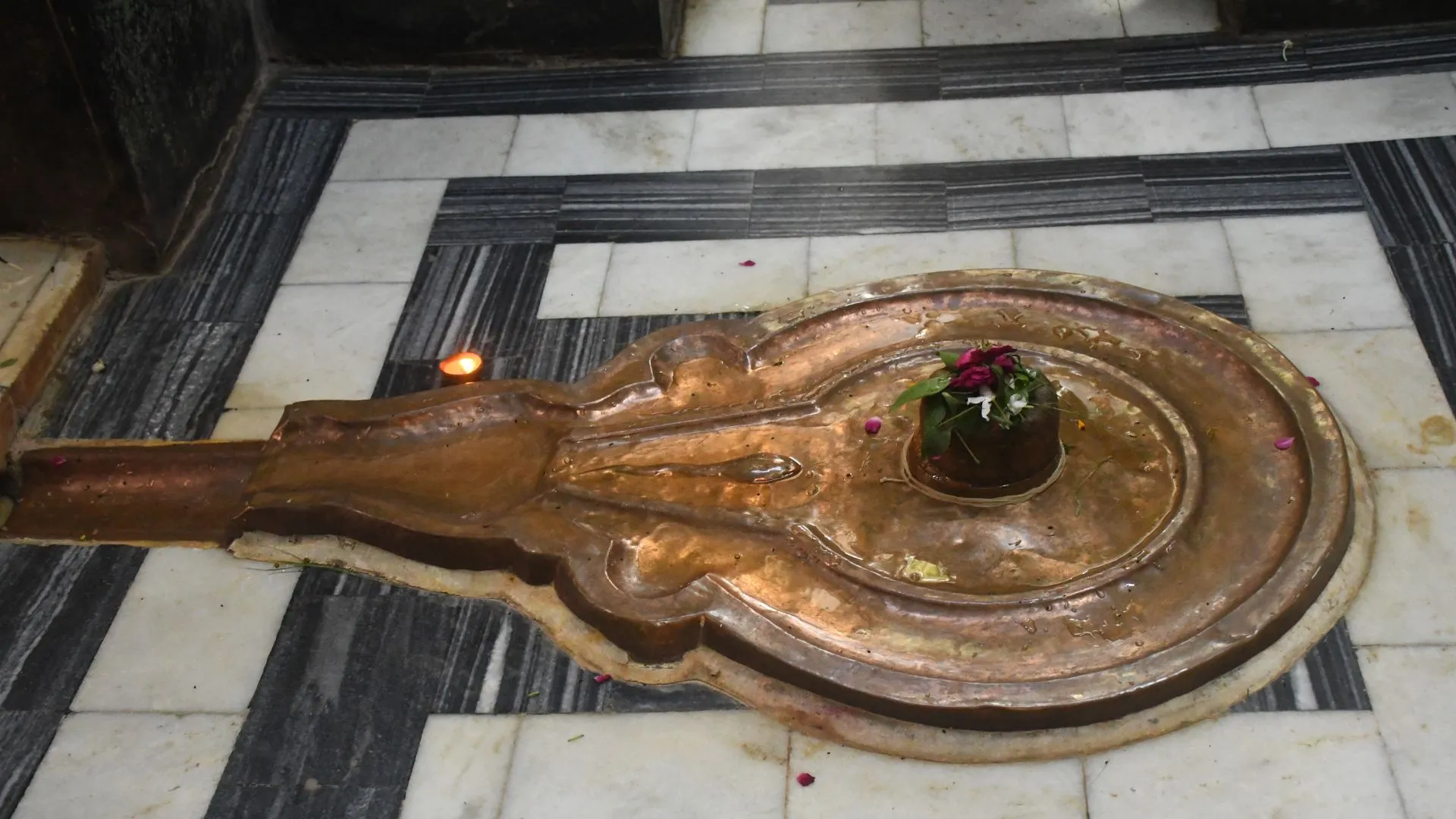 Untitled design (12)