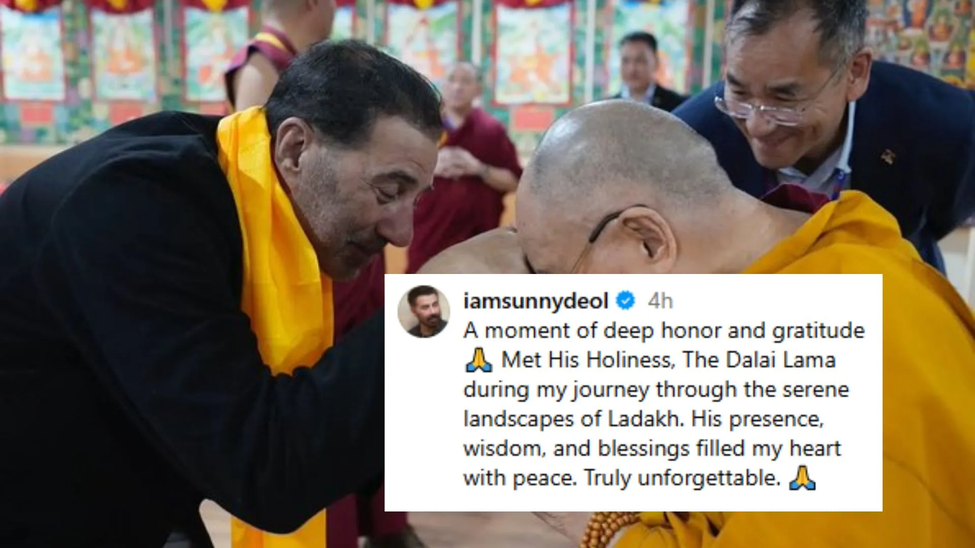 Untitled design (12)