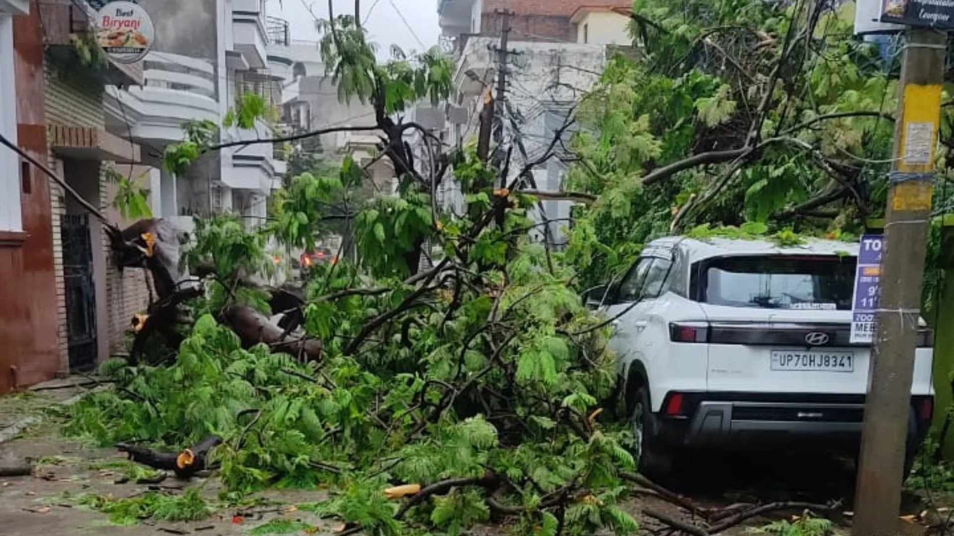 Untitled design (16)