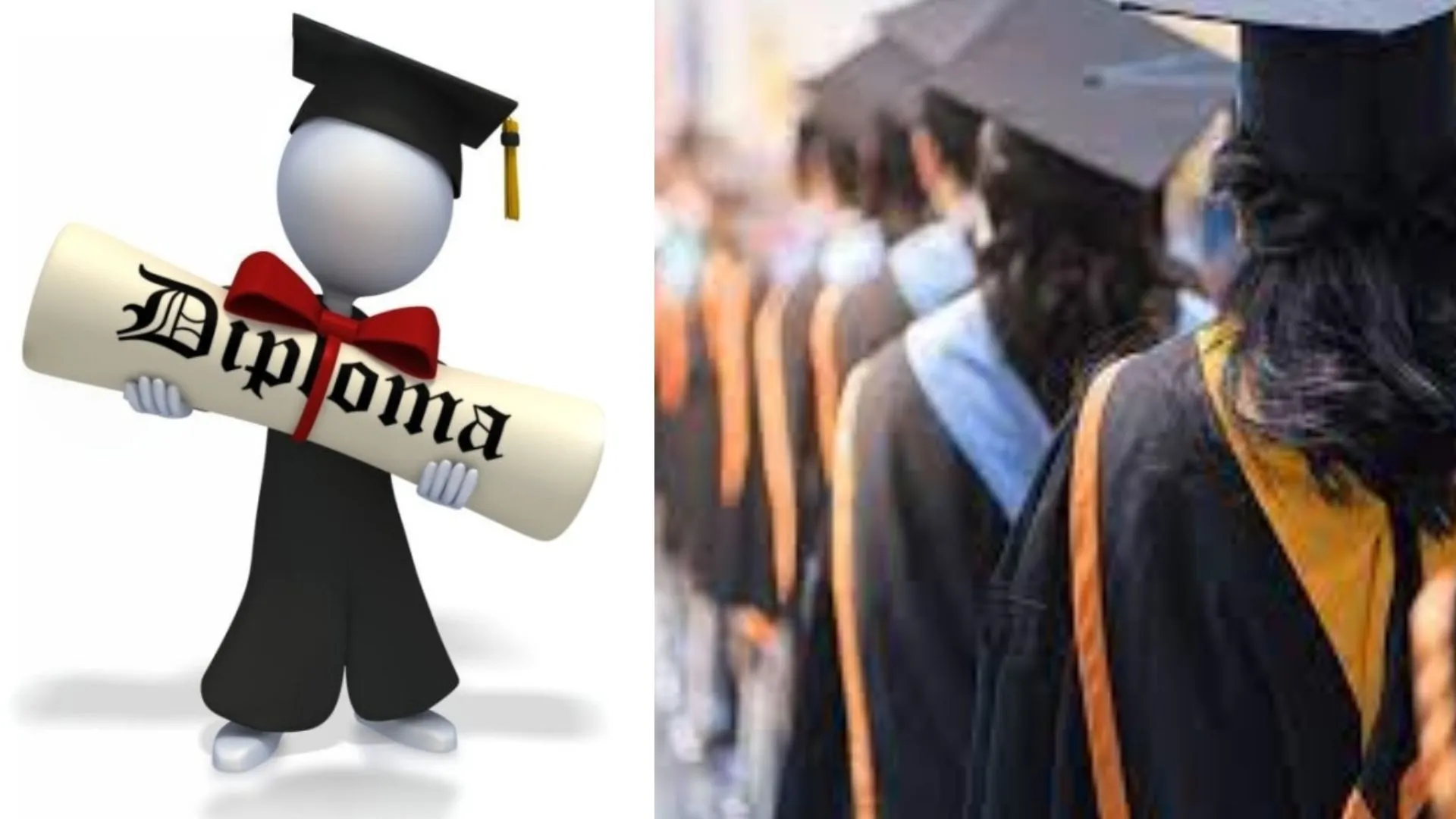 लखनऊ विश्वविद्यालय में जल्द ही बंद हो जाएंगे ये डिप्लोमा कोर्स: स्टूडेंट ले रहे कम इंट्रेस्ट, 60 प्रतिशत प्रवेश 3 वर्षों में नहीं हुआ