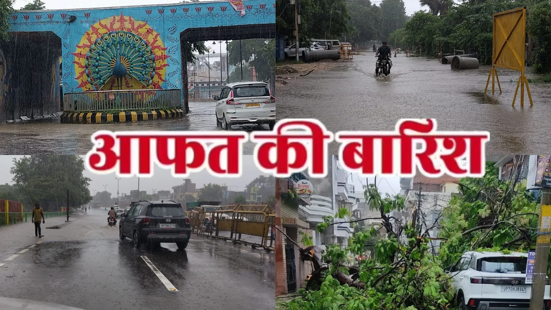 प्रयागराज में 11 घण्टे से भारी बारिश से सड़कें  बनीं तालाब, बड़ी संख्या में गिरे पेड़ 