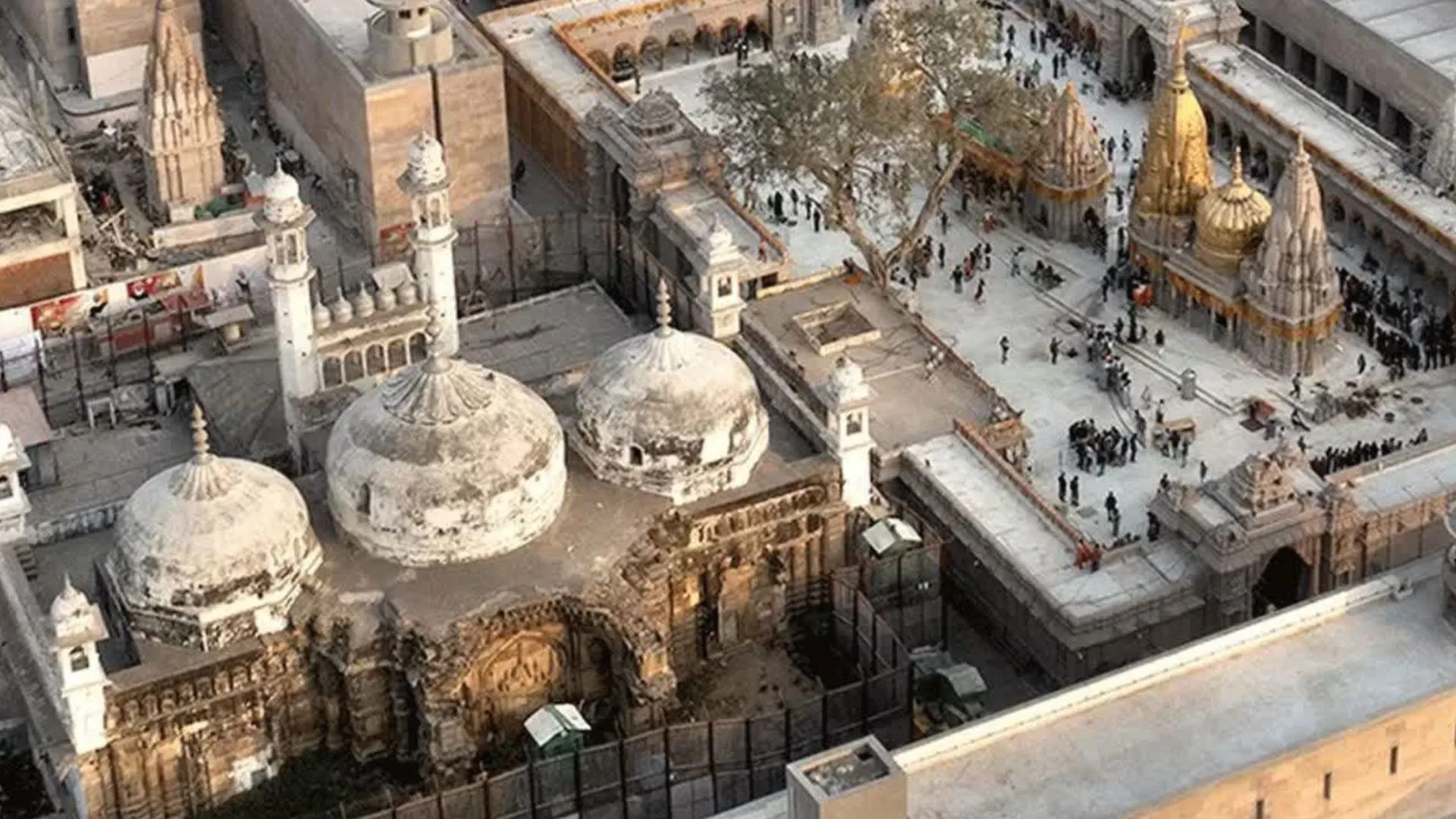 ज्ञानवापी वजूखाने के ASI सर्वेक्षण की मांग, इलाहबाद हाईकोर्ट में टली याचिका पर सुनवाई 