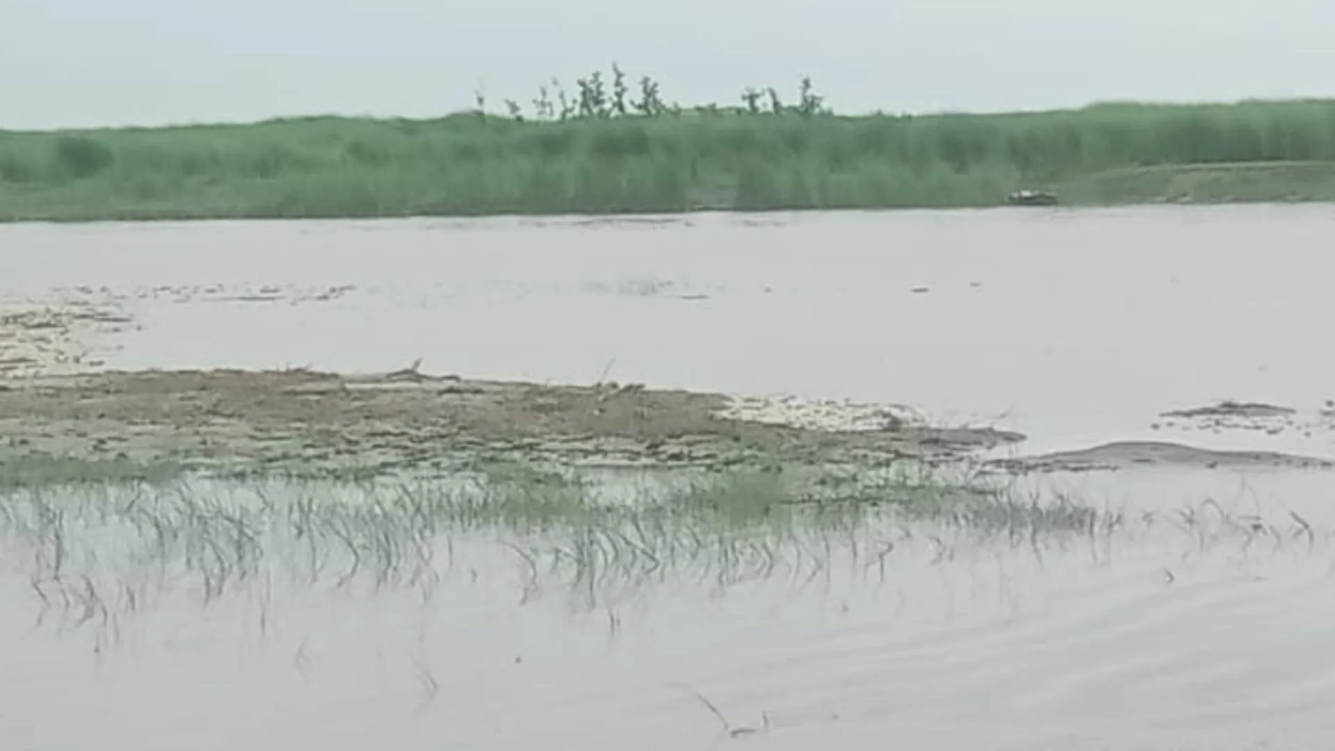 Untitled design (20)