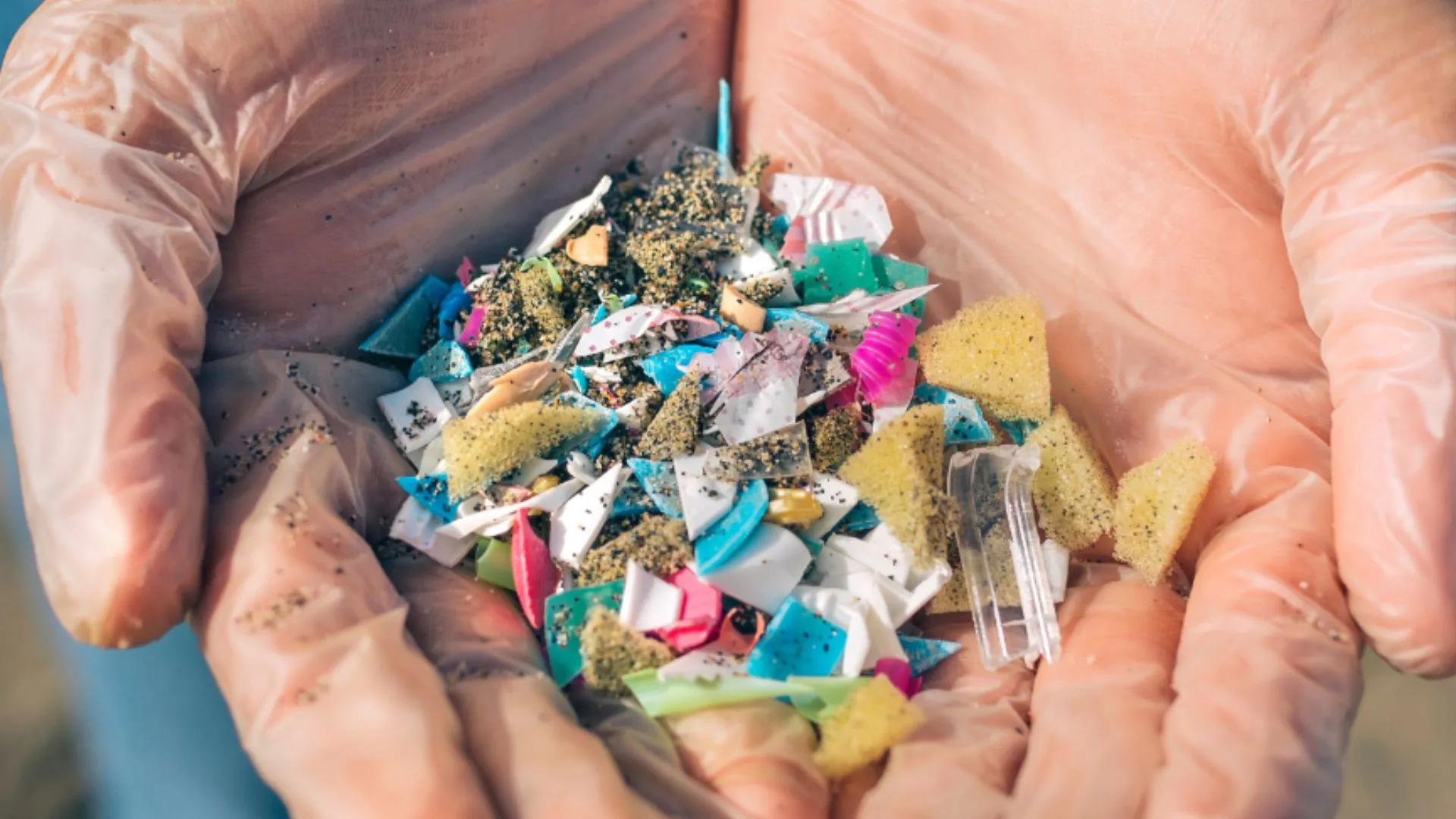 Untitled design (21)