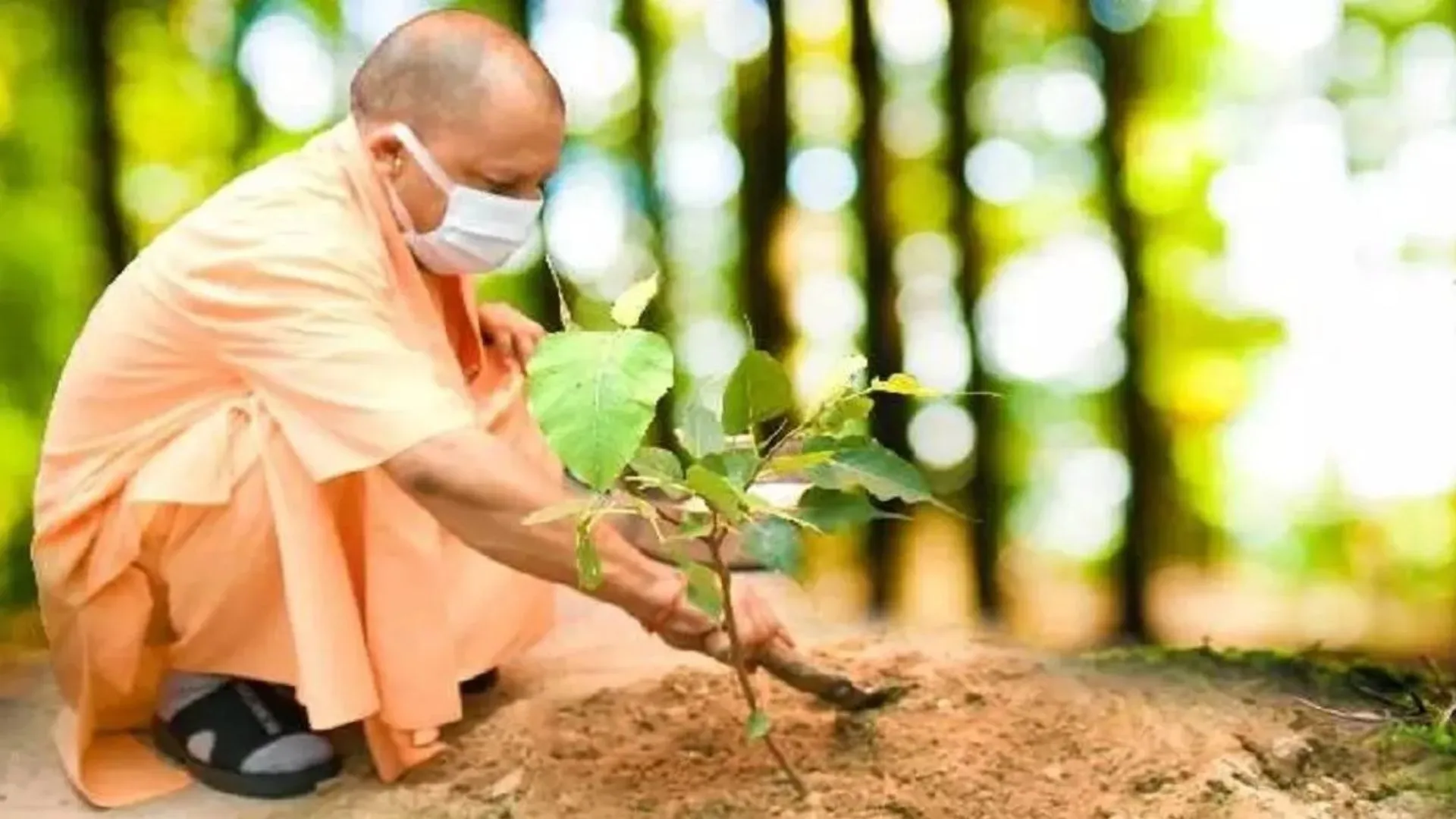 Plantation Campaign : हरियाली की ओर बढ़ा उत्तर प्रदेश, सीएम योगी के नेतृत्व में जनआंदोलन बना अभियान 