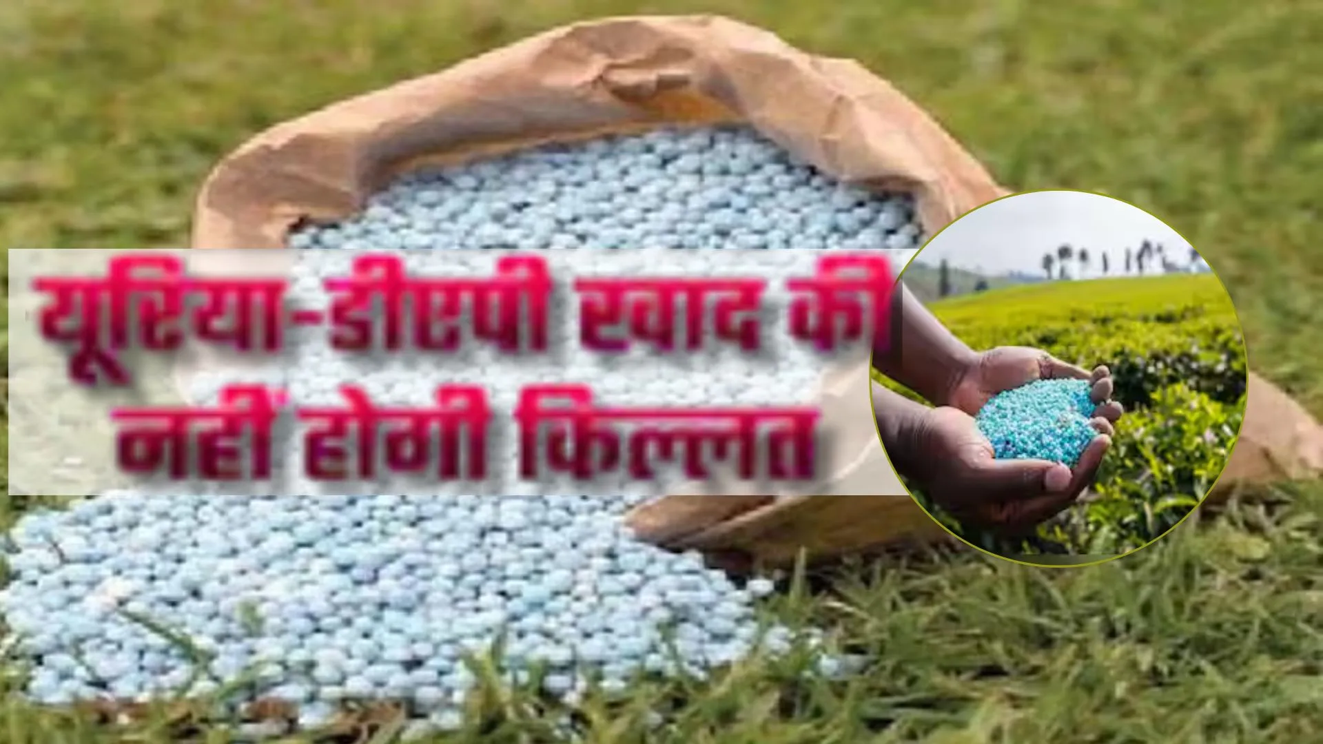 प्रदेश में खाद की किल्लत नहीं, 27 लाख मीट्रिक टन यूरिया उपलब्ध