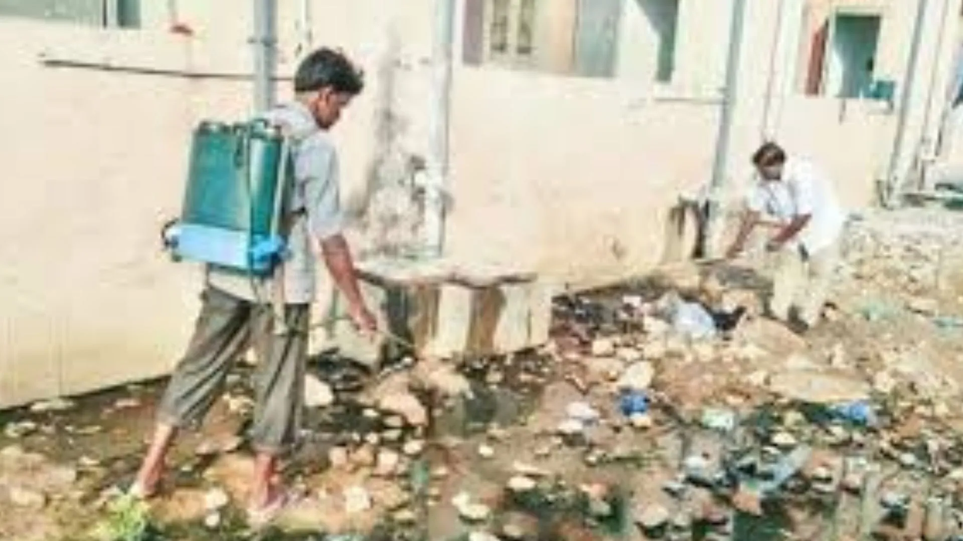 15 अगस्त से तेजी पकड़ेगी डेंगू के खिलाफ लड़ाई, नगर निगम कराएगा फॉगिंग और एंटी लार्वा का छिड़काव, डेंगू से बचाव के प्रति करेगा जागरूक