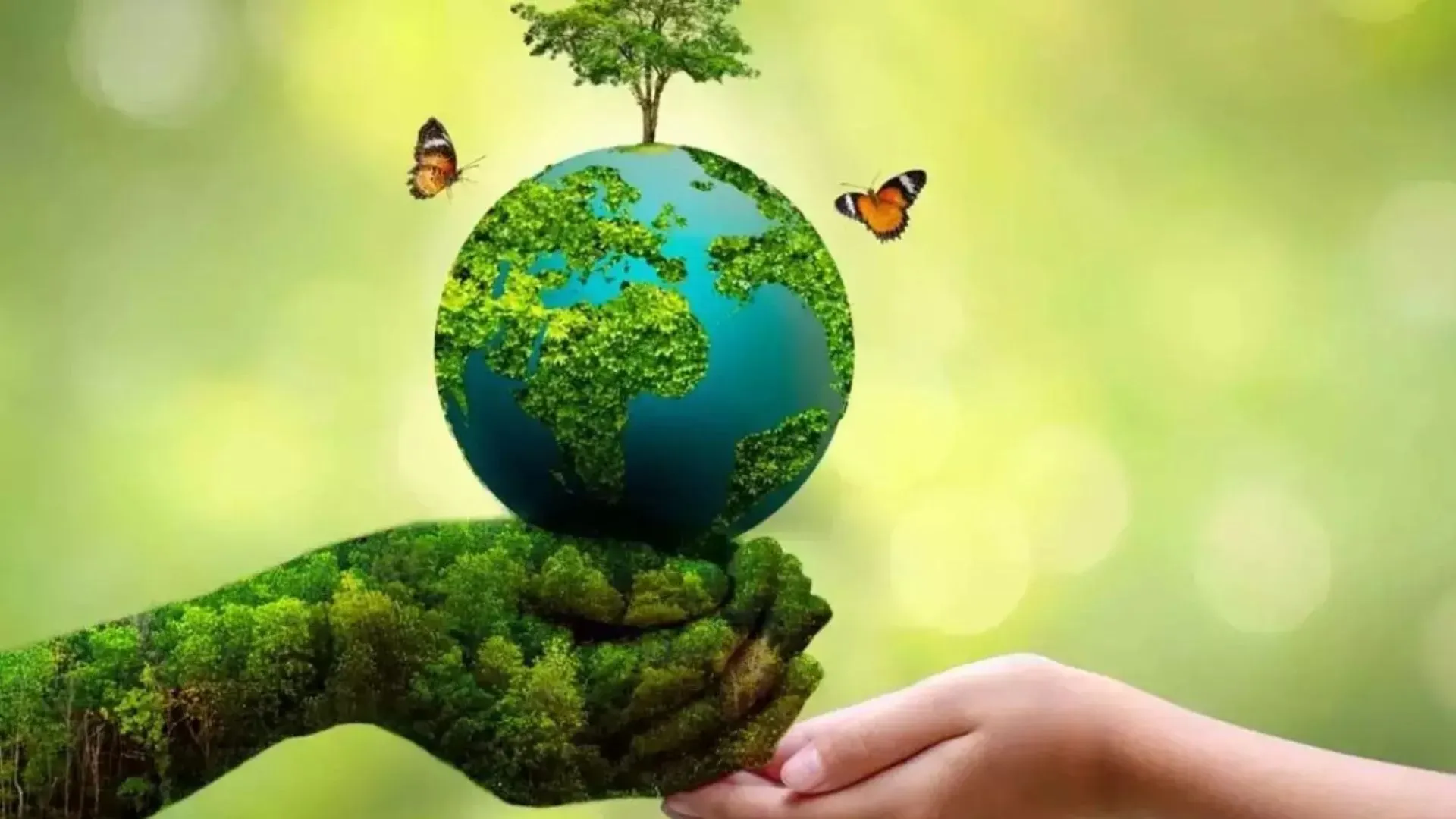 मां के साथ एक अब पेड़ गुरु के नाम पर भी लगाईए! एकलव्य वन से होगी शुरुआत, सीएम योगी के निर्देश पर वन प्रभागों को सौंपी गई जिम्मेदारी