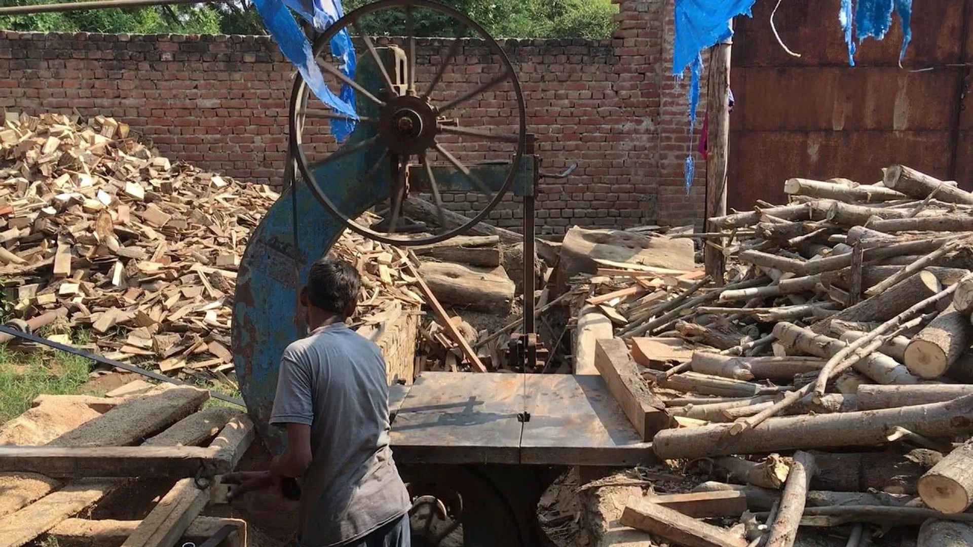 बदायूं: अवैध आरा मशीनों पर वन विभाग की सख्ती, सत्यापन शुरू