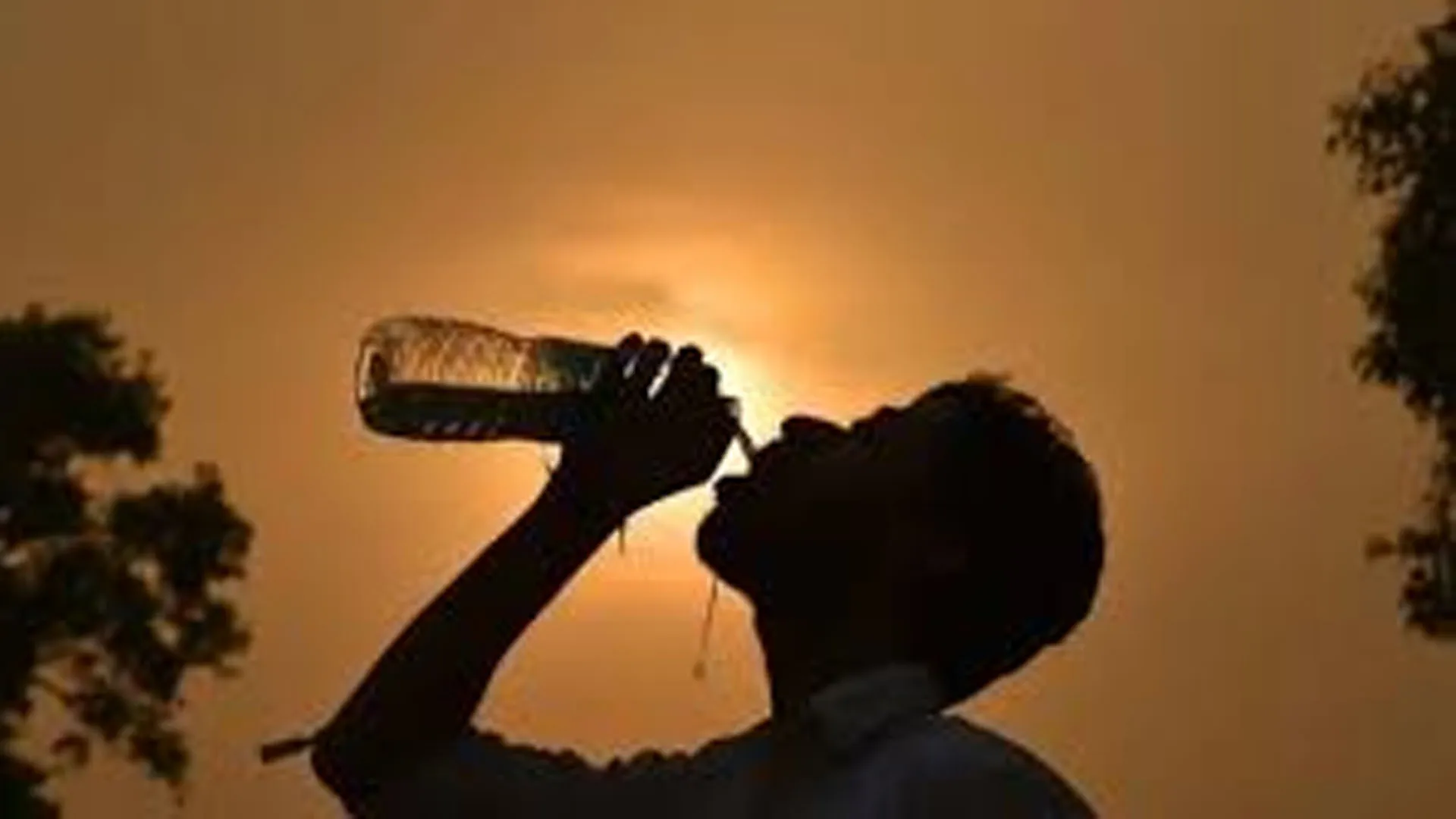 बदायूं: दिन भर उमस ने किया परेशान...परेशान होते रहे लोग