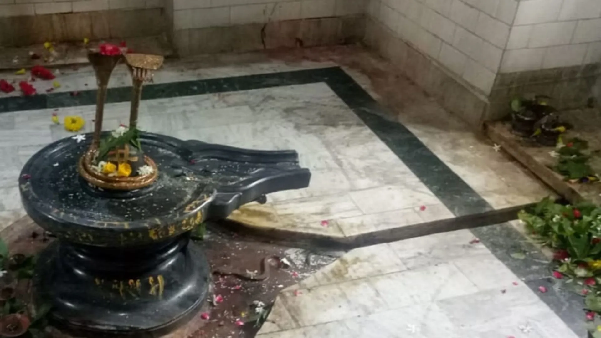 Sawan 2025: 17वीं सदी में स्थापित नागेश्वर महादेव जिसकी नाग करता है पूजा, सावन मास में लगता है श्रद्धालुओं का जमावड़ा 