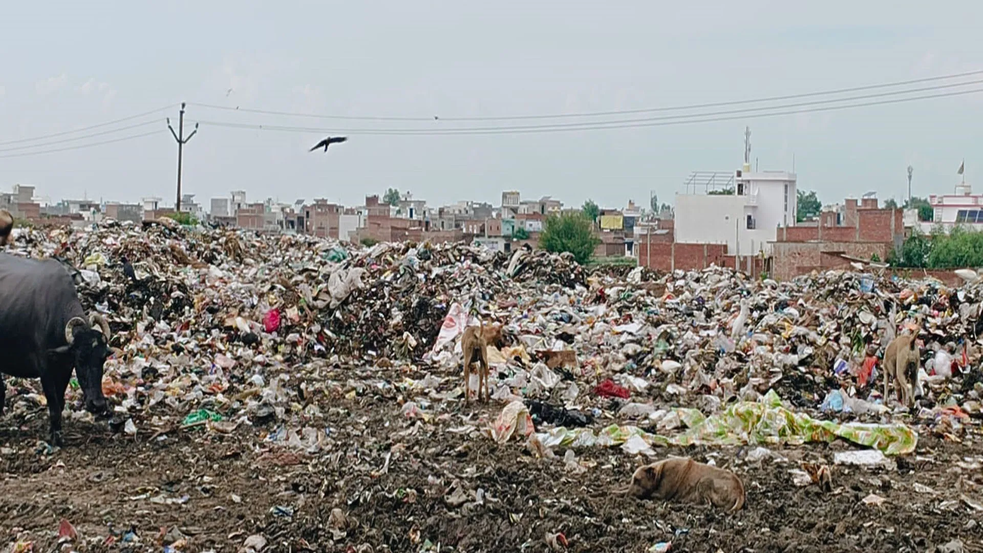 शाहजहांपुर: करोड़ों खर्च फिर भी ताले में बंद एमआरएफ सेंटर...जंक खा रही कूड़ा शोधन की मशीनें