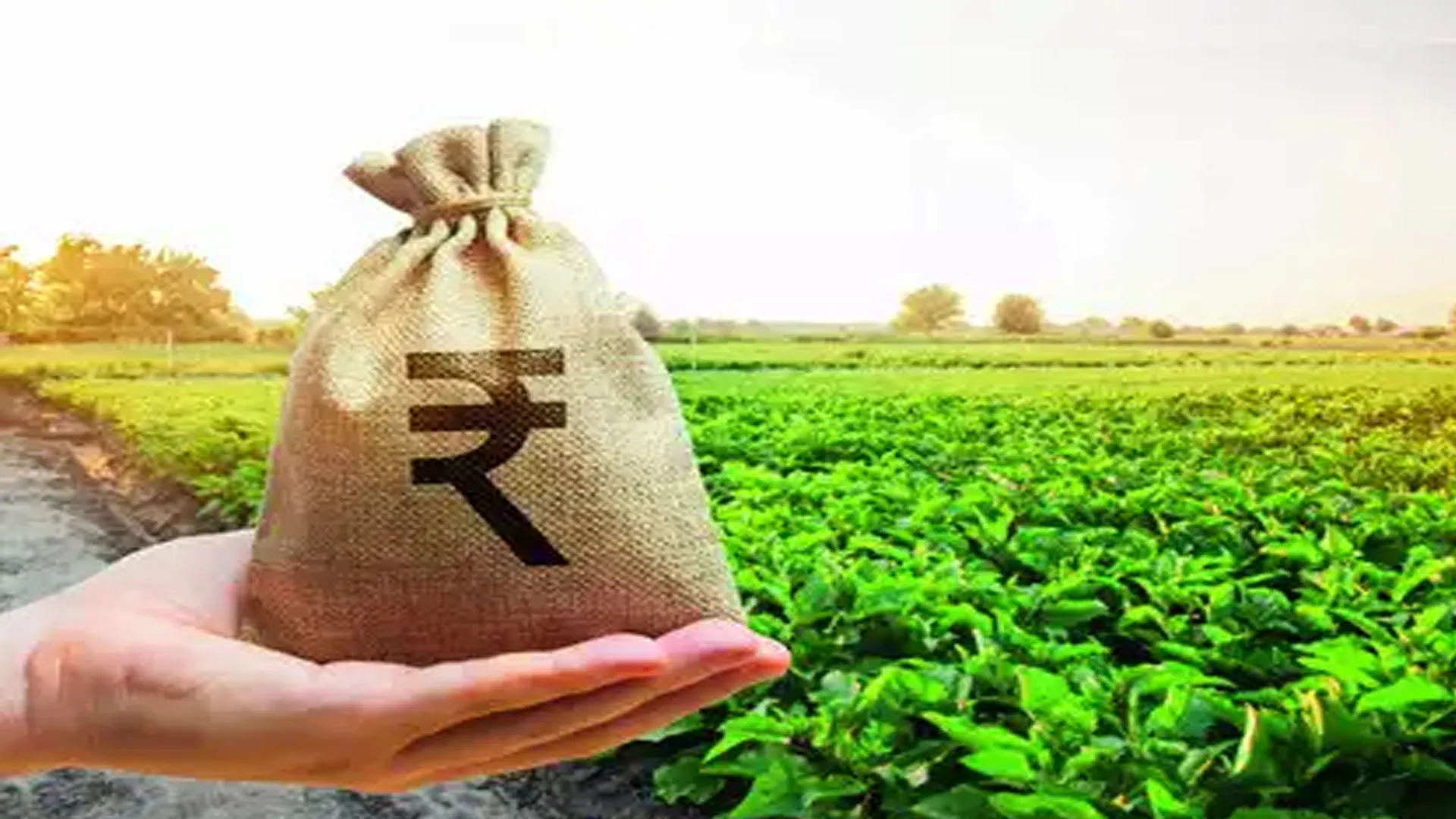 Bareilly: कृषि विभाग में फिर निकला घोटाले का जिन्न, प्रमुख सचिव ने तलब की रिपोर्ट